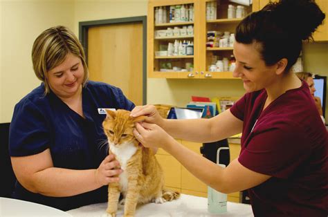 Indian trail animal.hospital - Indian Trail Animal Hospital- Spokane, WA Veterinary Services Spokane, Washington 11 followers We are a Fear Free Certified veterinary hospital with a staff committed to a low-stress visit for ...